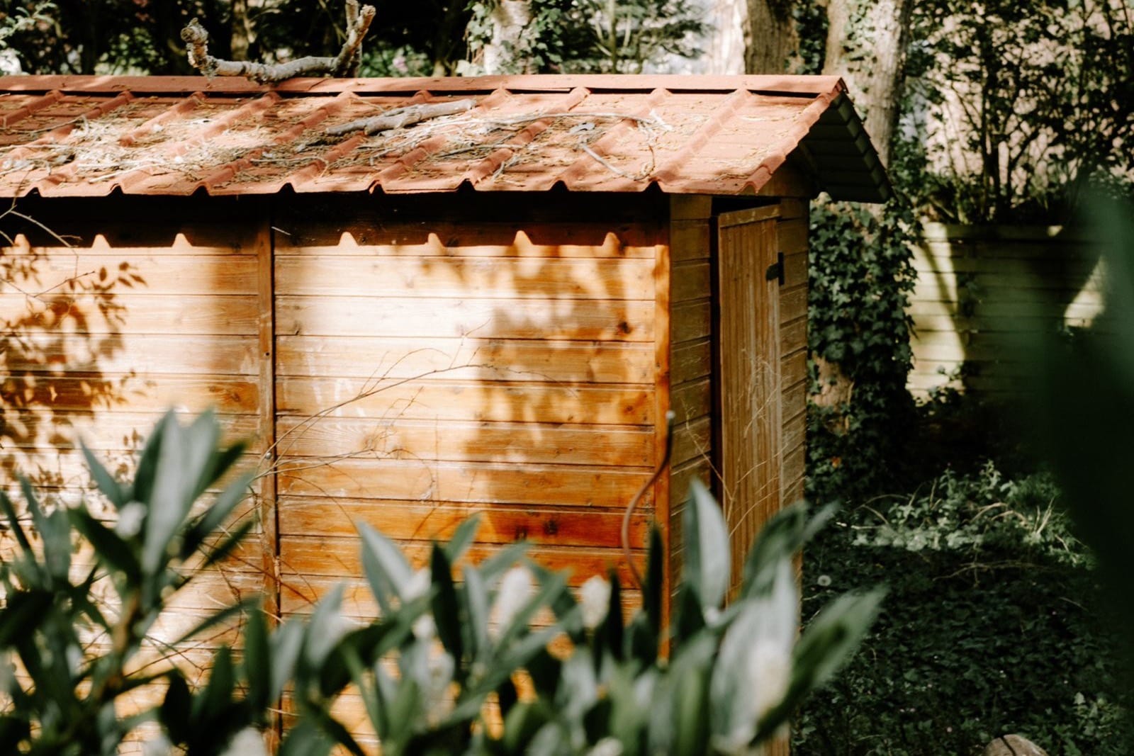 Abri de jardin en bois avec toiture en tuiles, entouré de végétation