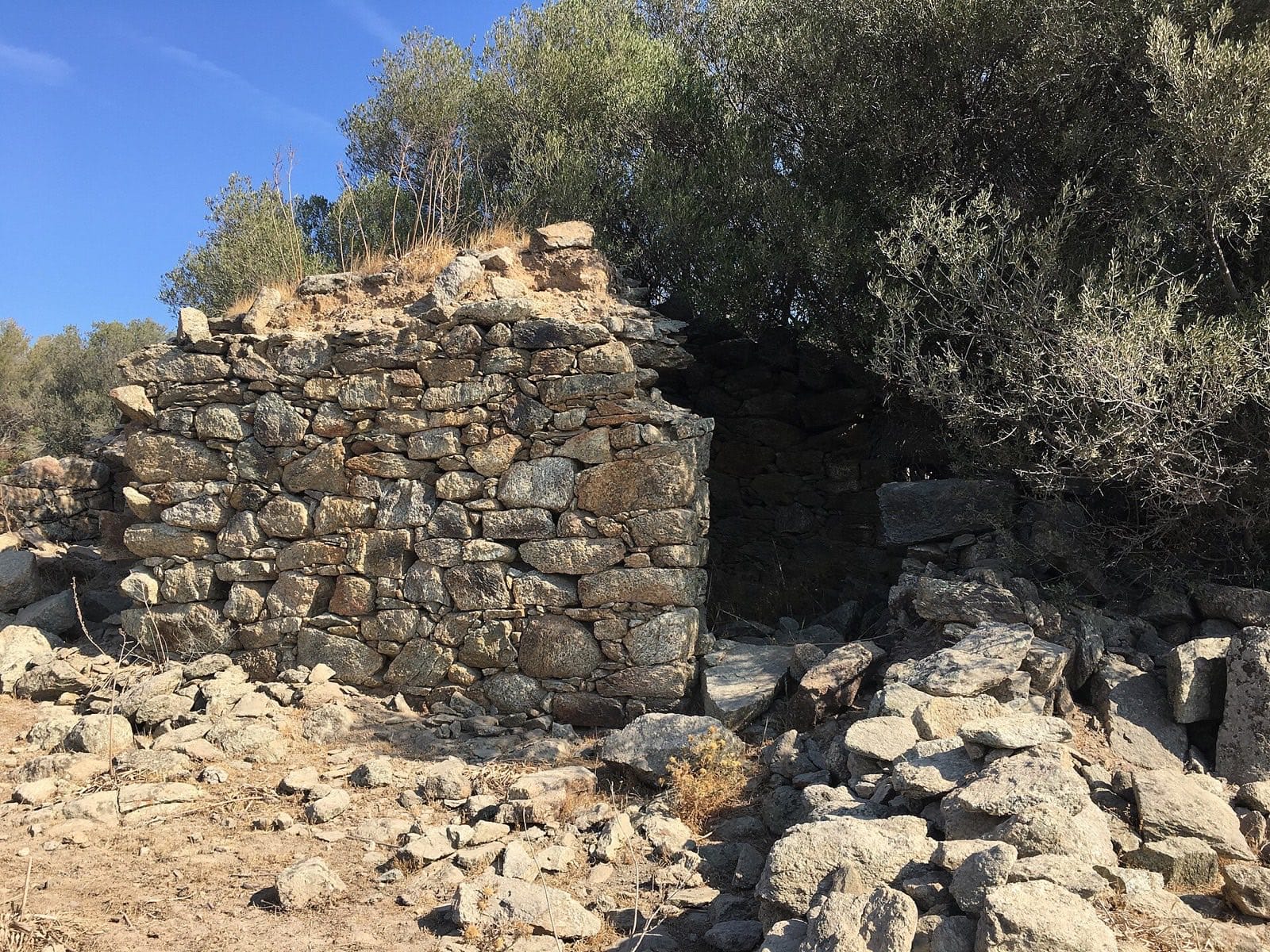 Ruine de pierres sèches sans toiture, envahie par la végétation