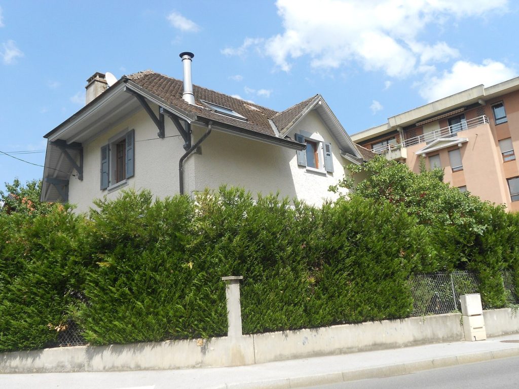 Maison individuelle derrière une haie dense plantée le long d'un muret en bordure de propriété
