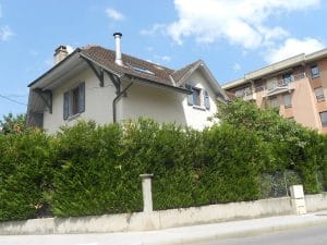 Maison individuelle derrière une haie dense plantée le long d'un muret en bordure de propriété